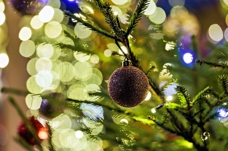 Парк Раздолье